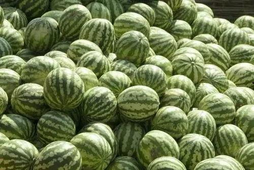 普宁热门吃瓜事件真相是真的吗,真相揭秘，还原事实真相