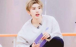 b站有的明星网红,揭秘网络红人的崛起之路