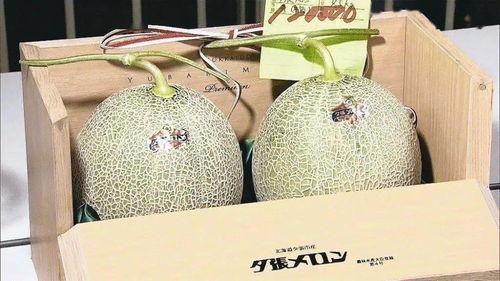 小蜜瓜今日价格行情,今日市场动态一览