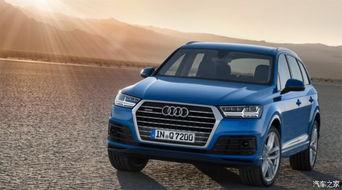 热门大瓜奥迪4s王阿姨