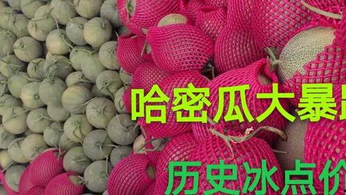广东哈密瓜今日价格,品质佳品，行情看涨！”
