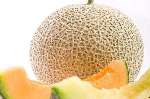广东哈密瓜今日价格,品质佳品，行情看涨！”