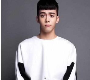 小鲜肉男明星网红,颜值与才华并存的青春偶像