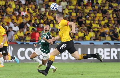 瓜亚基尔今日新闻,聚焦城市动态与民生热点