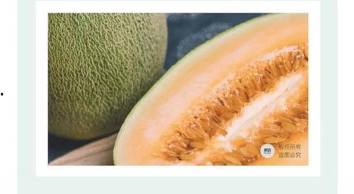 海南蜜瓜今日价格走势,今日走势解析