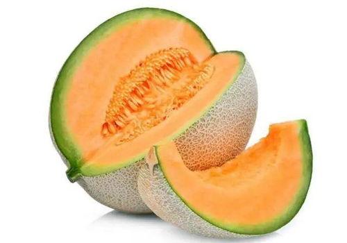 十月热门小瓜大盘点视频,盘点那些刷爆朋友圈的短视频