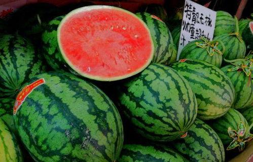 小瓜行情今日行情最新,今日市场动态一览，热点品种解析”