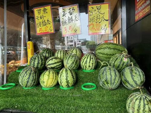 麒麟瓜无籽今日价格,价格行情一览