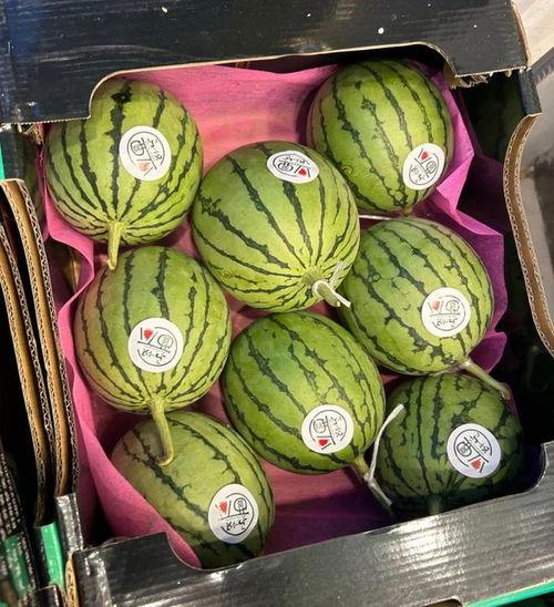 麒麟瓜无籽今日价格,价格行情一览