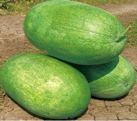 今日红瓜最新价格走势,今日最新走势解析