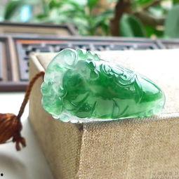 绿花福瓜今日行情,价格波动与市场趋势分析