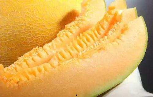 哈密瓜干今日送达,今日哈密瓜干，尽享夏日甘甜
