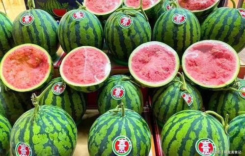 小喜瓜今日价格表,新鲜上市，品质保证