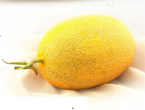 今日特价哈密瓜文案,甜蜜哈密瓜，尽享夏日清新滋味”