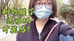 51热门今日吃瓜群众是阿朱啊,网友热议不断