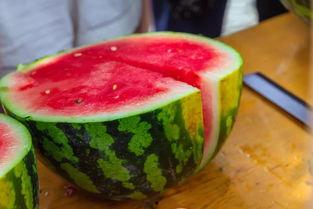 天津农业大学吃瓜爆料,校园风云录揭秘