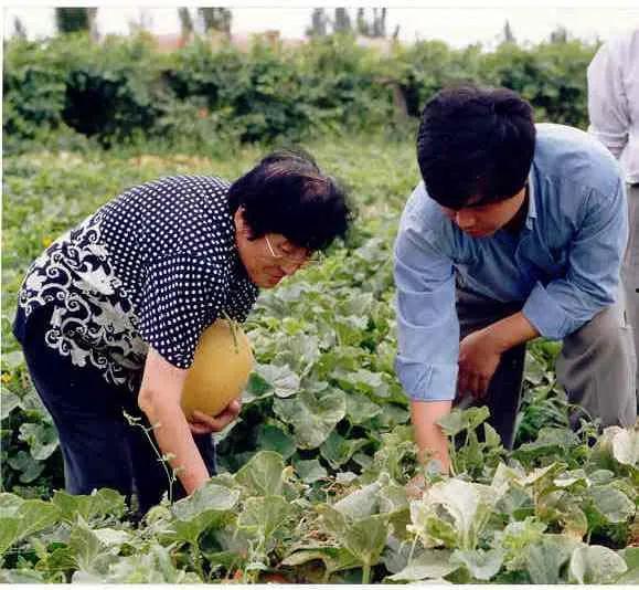 天津农业大学吃瓜爆料,校园风云录揭秘