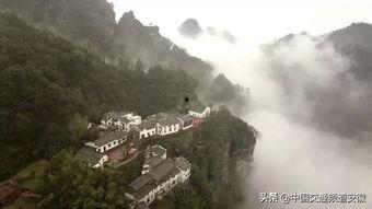 一蓑烟雨今日大瓜,揭秘娱乐圈最新热点事件