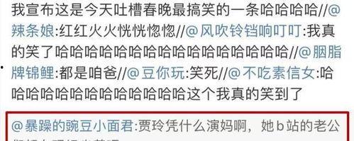 评价明星网红的评语,揭秘明星网红的璀璨与争议