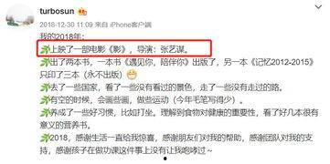 评价明星网红的评语,揭秘明星网红的璀璨与争议