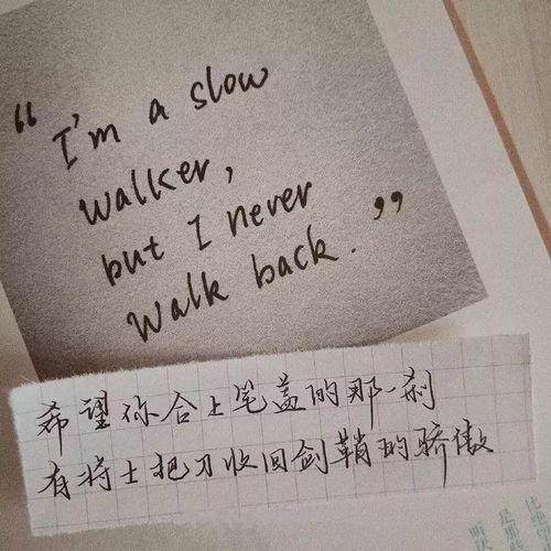 今日摘瓜文案句子图片,瓜熟蒂落，尽享甜蜜时光