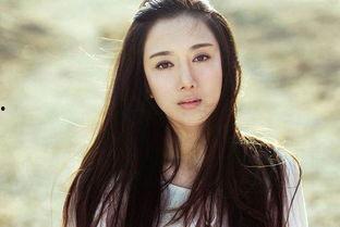 沈阳有多少明星网红,沈阳明星网红汇聚之地