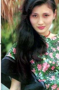 沈阳有多少明星网红,沈阳明星网红汇聚之地