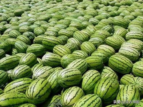 娱乐圈吃瓜素材哪里找,娱乐圈吃瓜素材集中地揭秘