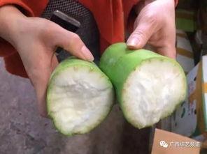 葫芦瓜今日的价格桂林