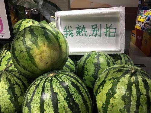 今日份炸裂瓜集美们,热点事件盘点与热议瞬间