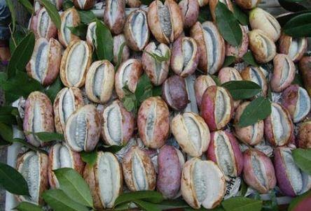 八月瓜热门视频在线播放,精彩瞬间不容错过