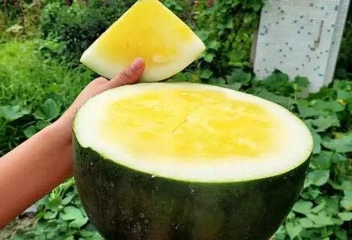 近些年的热门大瓜有哪些,揭秘明星幕后故事