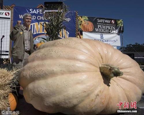 近些年的热门大瓜有哪些,揭秘明星幕后故事