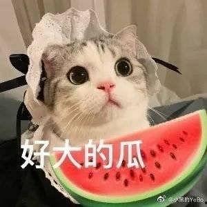 近期热门吃瓜网红是谁啊,揭秘近期热门吃瓜网红风云录