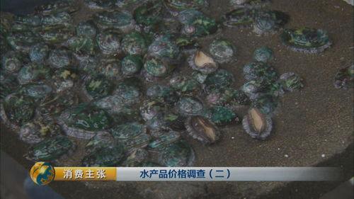 白海黑少 吃瓜,揭秘娱乐圈的瓜田秘闻