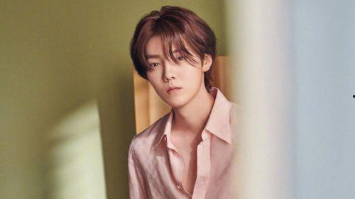 吃瓜少女张小寒爆料肖战,肖战背后惊人真相