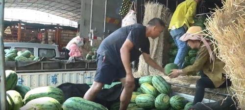 界首吃瓜热门事件真相视频,真相视频还原惊人内幕