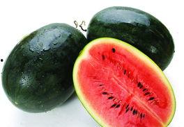 科普17c吃瓜官网黑料,黑料背后的真相与反思