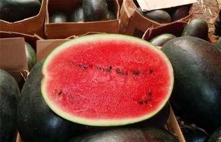 科普17c吃瓜官网黑料,黑料背后的真相与反思