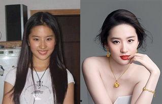 明星网红同台照片,明星网红同框，跨界盛宴精彩瞬间