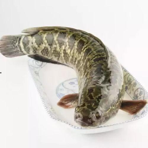 黑鱼视频吃瓜热门网站在线观看,实时在线观看揭秘娱乐圈风云