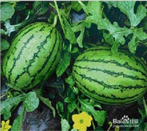 人人网吃瓜朝阳黑料,人人网吃瓜朝阳黑料背后的真相