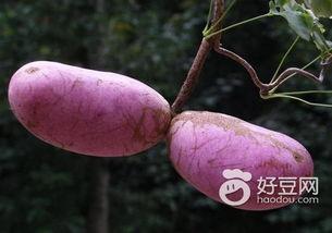 热门话题今日热搜八月瓜,揭秘热搜背后的热点事件与话题