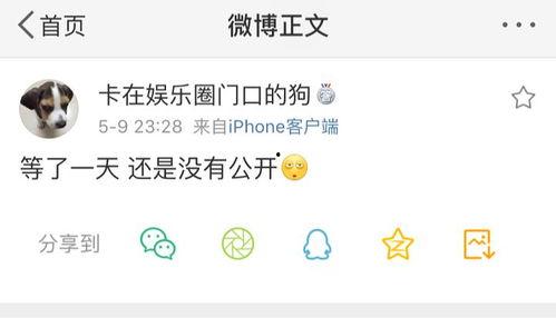 吃瓜爆料可信度高吗,可信度几何？