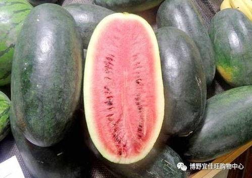 海外每日大赛吃瓜黑料,揭秘选手背后的吃瓜黑料