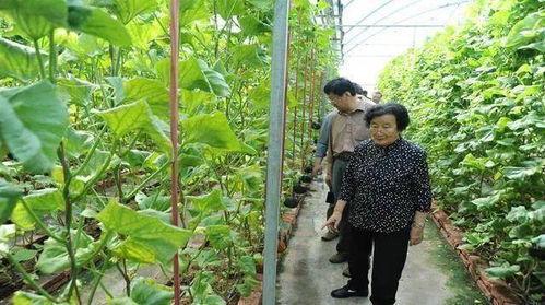 长春近期热门吃瓜事件是真的吗,真相揭秘，是真是假？