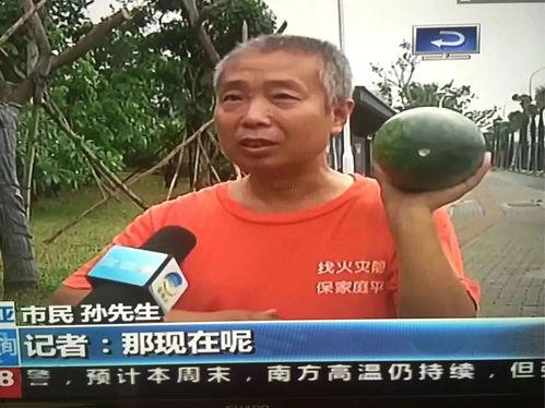 近期热门出轨吃瓜事件是真的吗,近期热门事件真相大起底