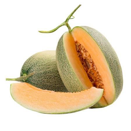 网纹蜜瓜热门视频网站大全