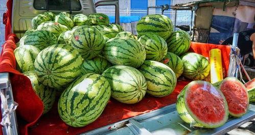 大连爆料吃瓜事件真相揭秘,真相大揭秘，还原事件全貌