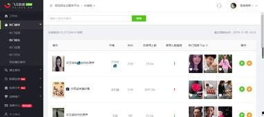 飞瓜热门爆款小说排行榜,揭秘热门作品背后的魅力与热度